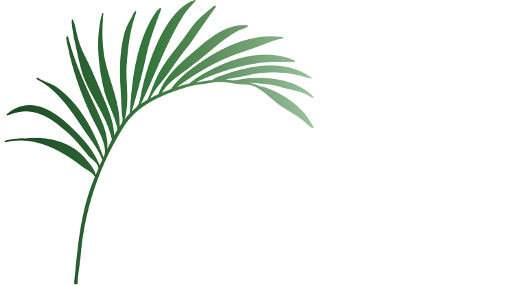 Palm Security & Power Screen